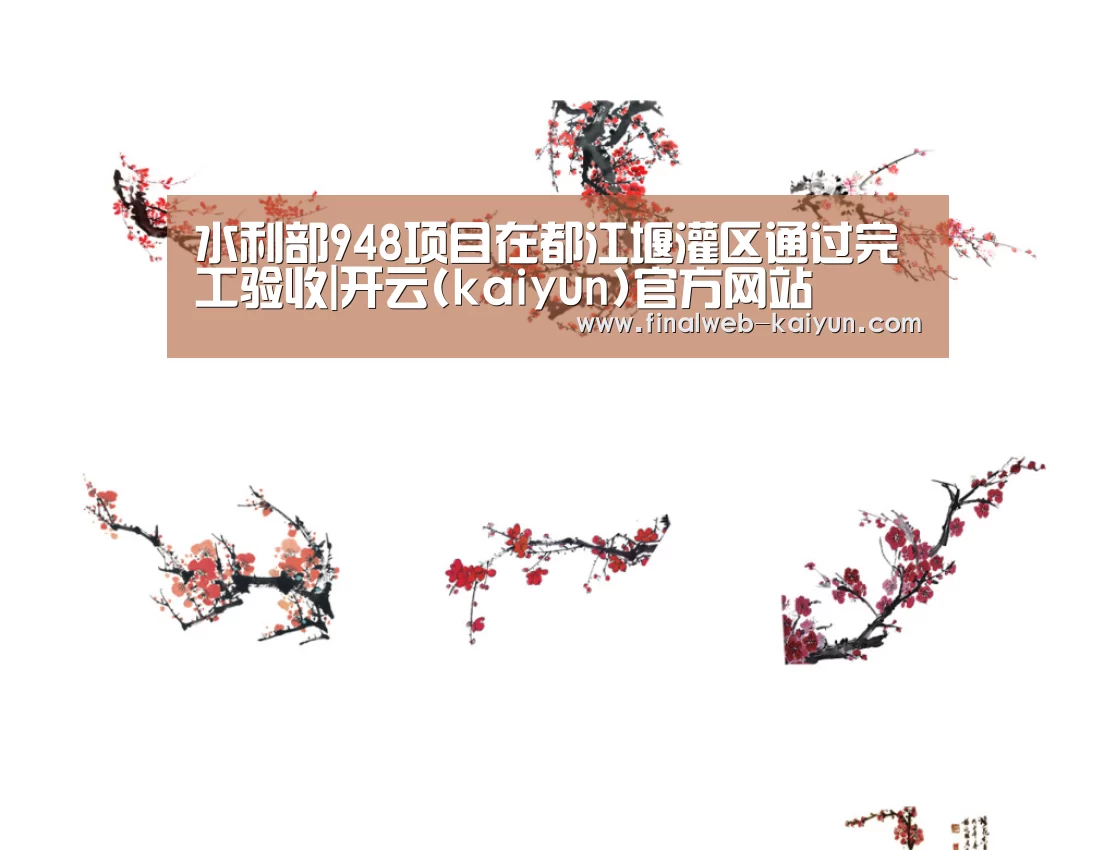 水利部948项目在都江堰灌区通过完工验收|开云(kaiyun)官方网站 (图3) 开云(kaiyun)官方网站