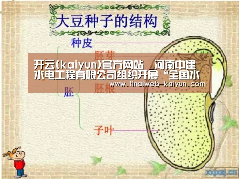 开云(kaiyun)官方网站 _河南中建水电工程有限公司组织开展“全国水利安全生产知识竞赛”活动(图2) 中文首页